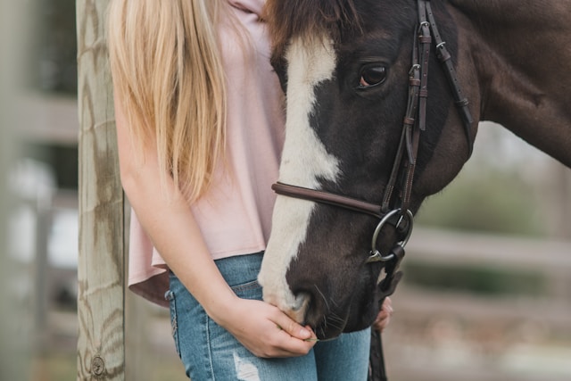What to Expect from a School That Uses Horses in Healing and Learning